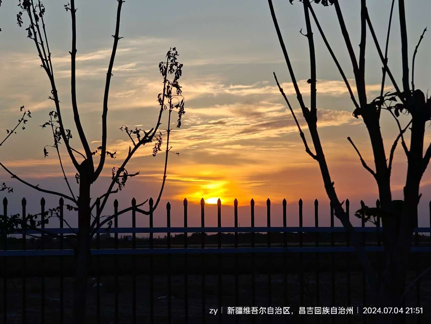 日常 - 展示图 4