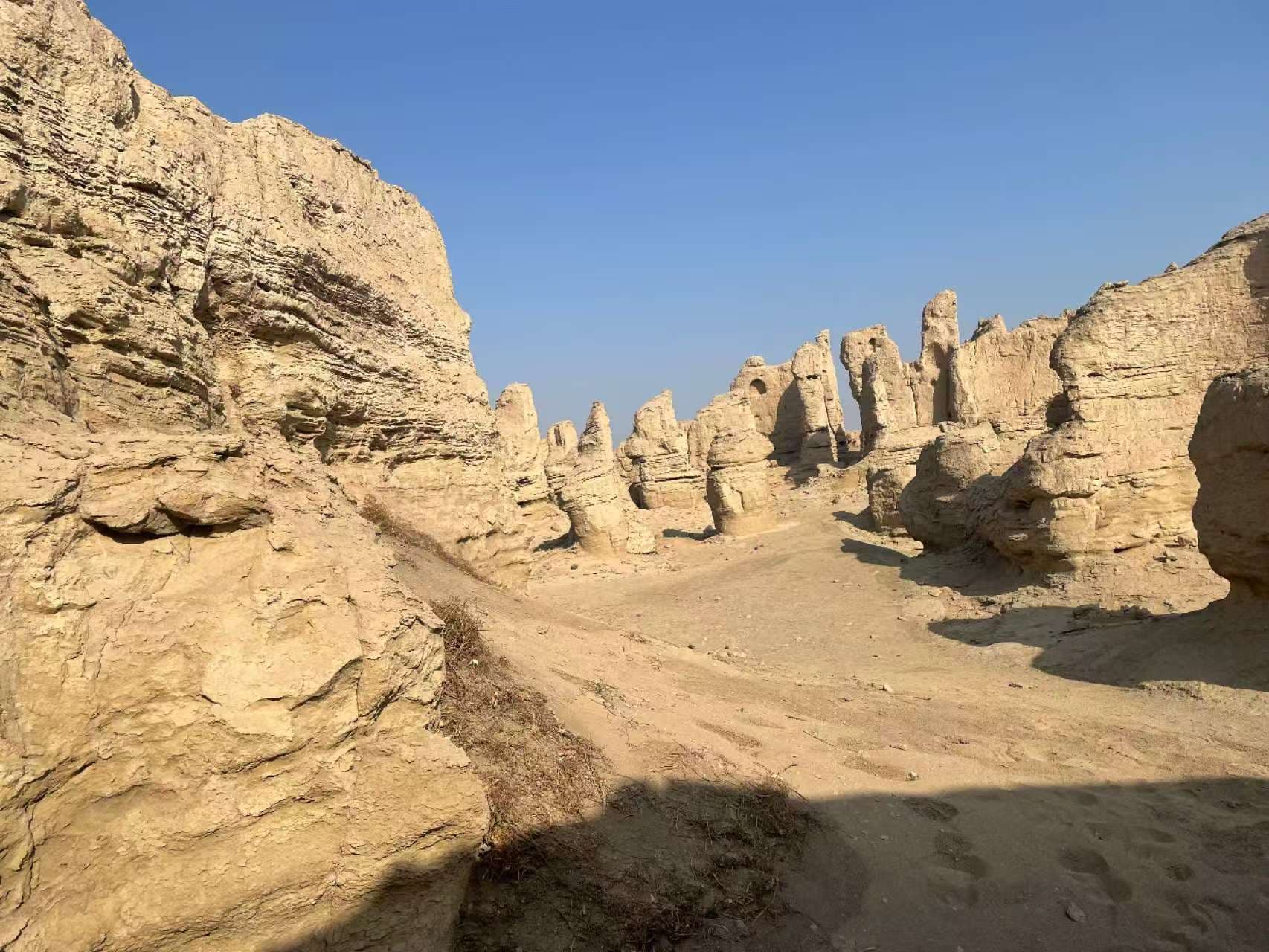 日常 - 展示图 7